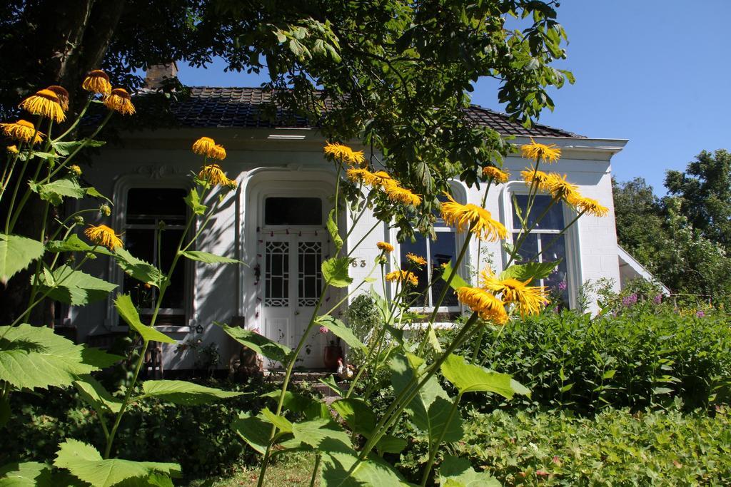 Koningin Van Pieterburen Bed & Breakfast Екстериор снимка